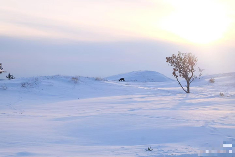 Small Group：A 4-day exploration of Eastern Hokkaido February