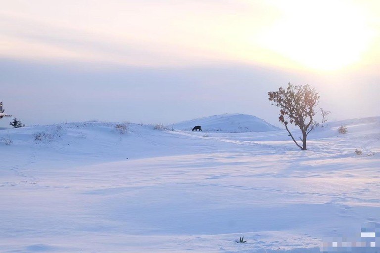 Small Group：A 4-day exploration of Eastern Hokkaido February