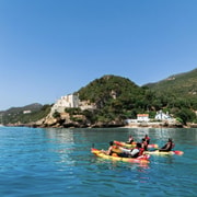 Lisbon: Arrábida Kayak & Wild Beach Snorkeling/Pickup Option