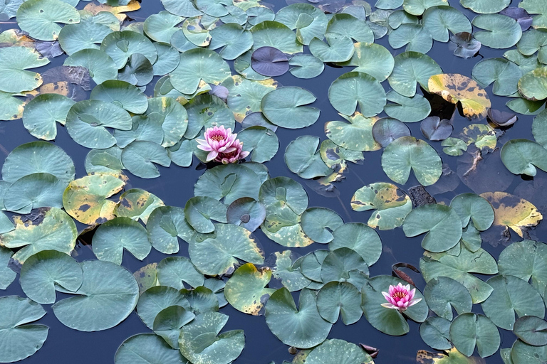 Seul: 5 dias de Andong Gyeongju, um passeio pelo património tradicionalSeul: 5 dias de passeio pelo património tradicional de Andong Gyeongju