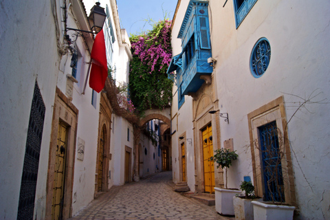 Tunis : Visite de la vieille médina, du Bardo, de Carthage et de Sidi Bousaid