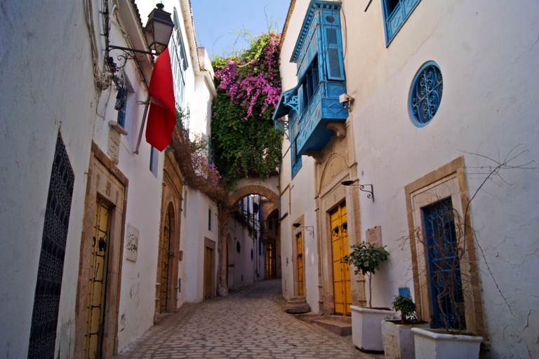 Tunis: Jednodniowa wycieczka do Starej Medyny, Bardo, Kartaginy i Sidi Bousaid