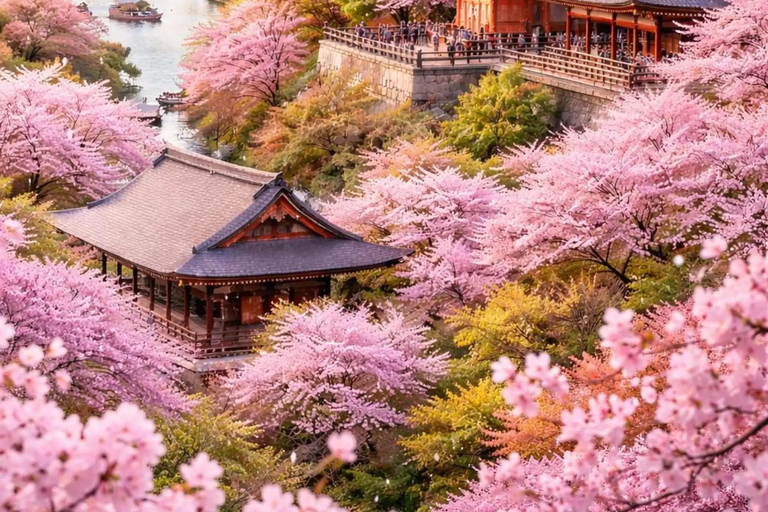 Kyoto / Nara : Kyoto & Nara Private Tour with Driver / Guide Kyoto : Kyoto Private Tour Up To 3 Persons