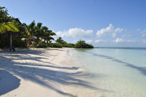 Van Riviera Maya: Isla Contoy & Isla Mujeres Volledige dagtourOphalen van Cancun