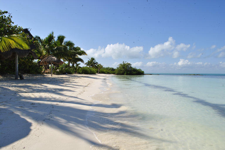 Da Riviera Maya: excursão de 1 dia pela Isla Contoy e Isla MujeresServiço de busca em Tulum