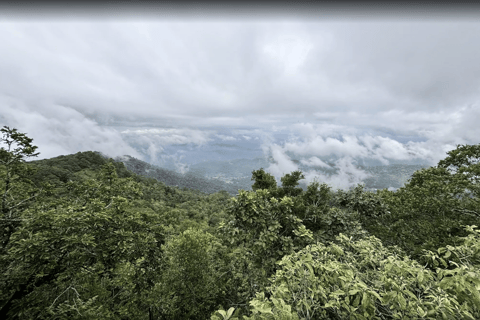 Chiang Mai: Hmong Village, Doi Suthep and Wat Pha Lat Trek