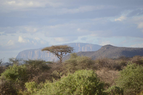 3 Days, 2 nights safari to Samburu National Reserve 3 Days private safari in a 4x4 Landcruiser jeep