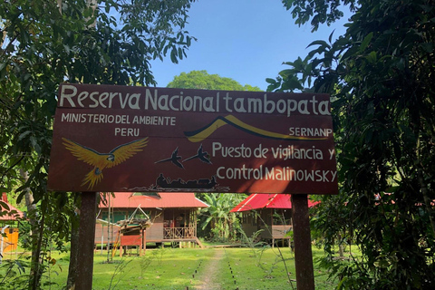 Puerto Maldonado : Trek du Tambopata 3 jours 2 nuits