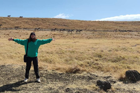 3-dagars safari Zanzibar till Nyerere Park med båt, bil och flyg