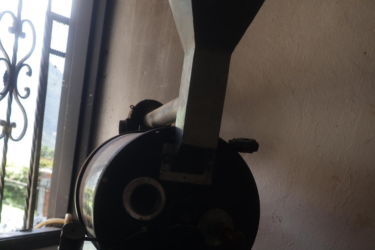 Medellín Coffee Tour with Lunch