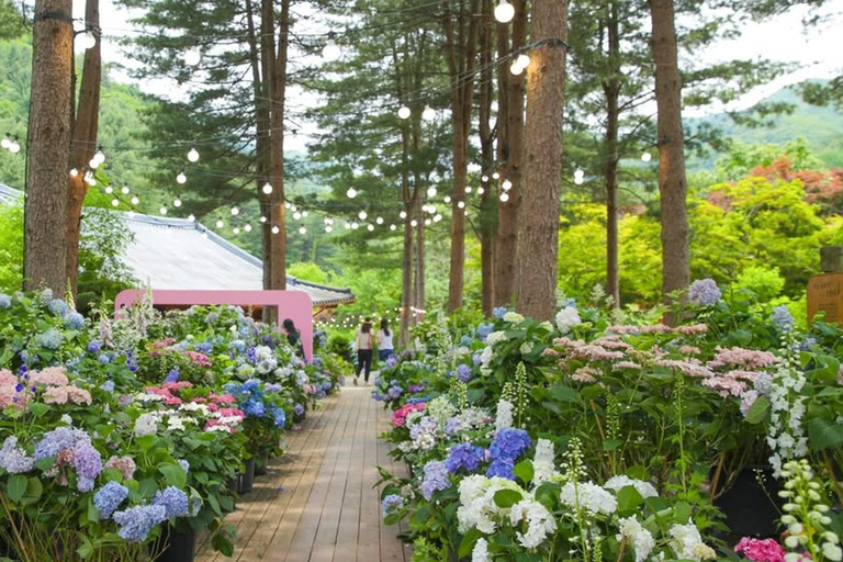 From Seoul: K-Drama Filming Tour: Garden of Morning Calm
