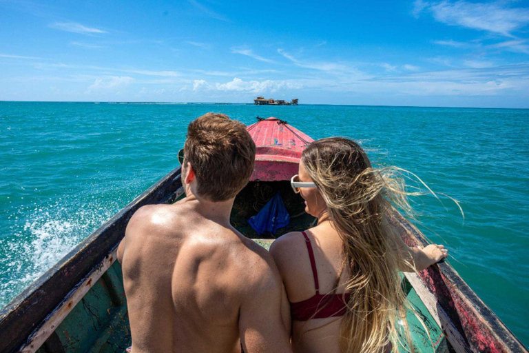 South Coast: Pelican Bar & Black River Safari from Mobay