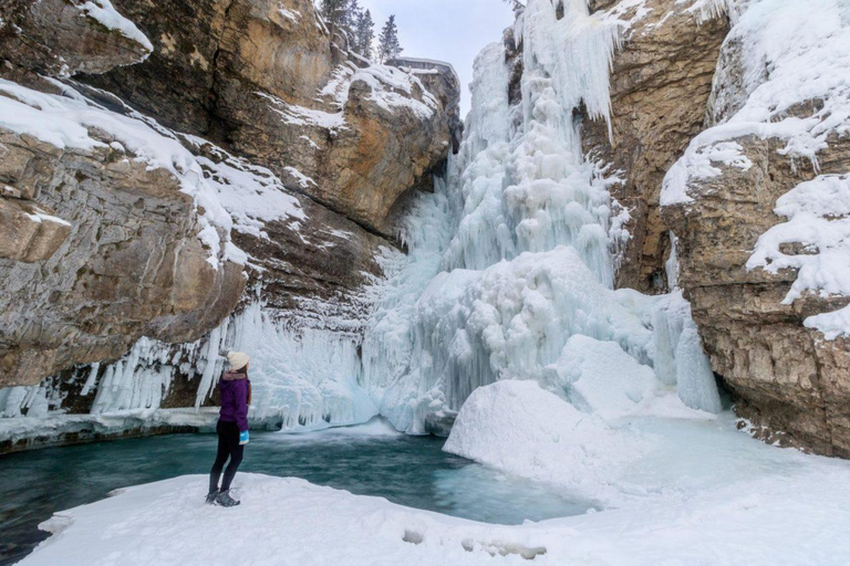 Vanuit Calgary: Banff, Moraine Lake en Lake Louise TourOphaalservice Calgary