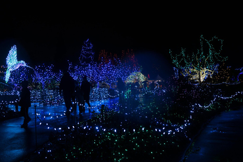 فانكوفر: جولة أضواء العطلات في المدينة وحديقة فاندوسن