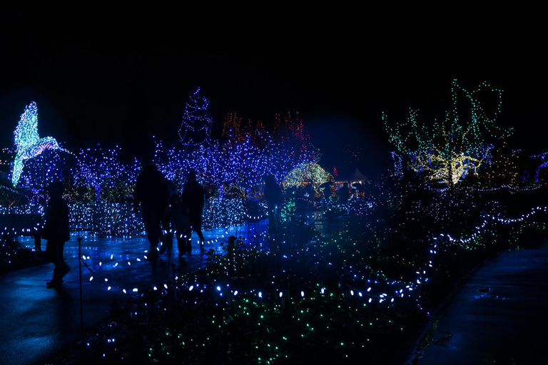 فانكوفر: جولة أضواء العطلات في المدينة وحديقة فاندوسن