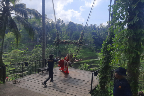 Ubud: Foresta di scimmie, terrazze di riso e cascateUbud: Foresta di scimmie, terrazza di riso e cascata