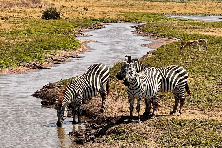 Viagem de 1 dia para a cratera de NgorongoroViagem de 1 dia à Cratera de Ngorongoro