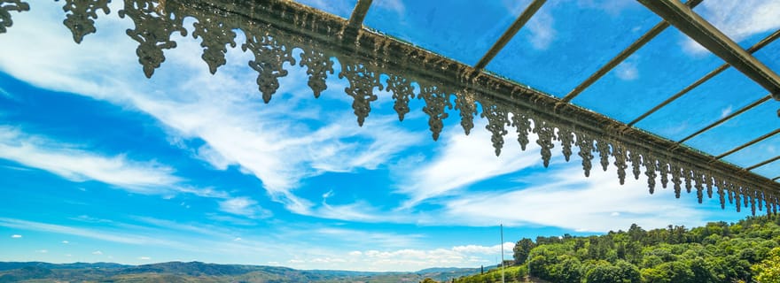 Vale do Douro : Expérience sensorielle dans le Douro : vins, huile d'olive et histoire