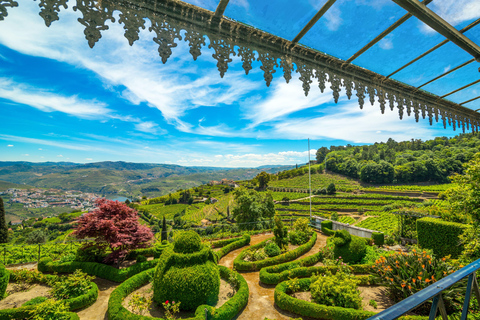 Douro Valley: A Sensory Experience in the Douro: Wines, Olive Oil, and History Douro Valley: Sensory Experience in the Douro: Wines, Olive Oil, and History