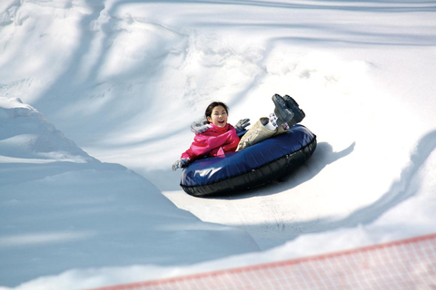 Desde Tokio: Excursión de un Día de Esquí de Invierno en la Estación Nieve Fujiyama YetiB (SKI + FORFAIT), nos vemos en Shinjuku