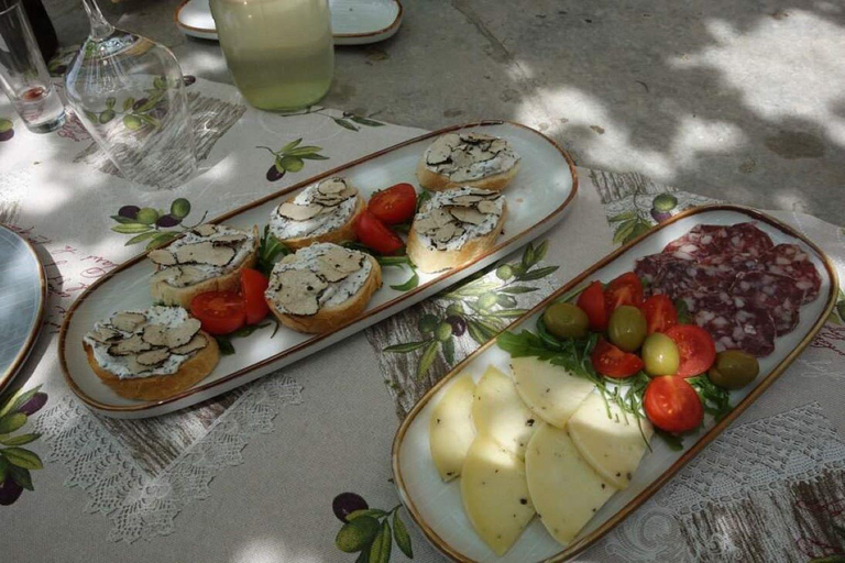 Ljubljana: Istria Truffle Hunting Tour with Local Hunters