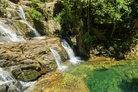 Guangzhou: Explore UNESCO Reserve on the Tropic of Cancer