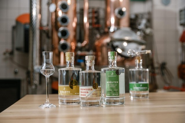 Visit Obstbrand & Gin Tasting in a traditional distillery (Deutsch in Meersburg, Germany