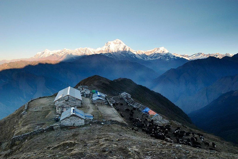 Katmandu: Khopra Ridge Trek z panoramicznymi widokami