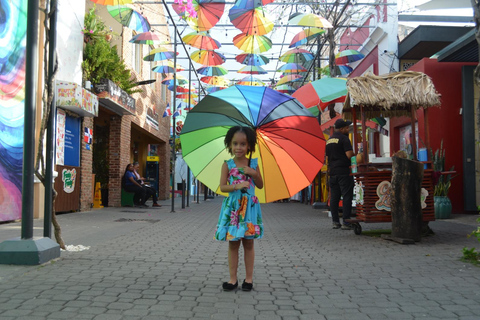 Puerto Plata: City Highlights & Beach Escape