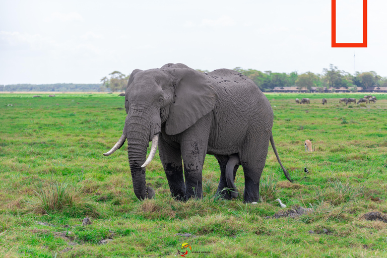 Naivasha: Lago Naivasha e Parco Nazionale Hell's GateTour del lago Naivasha e dell'Hells Gate