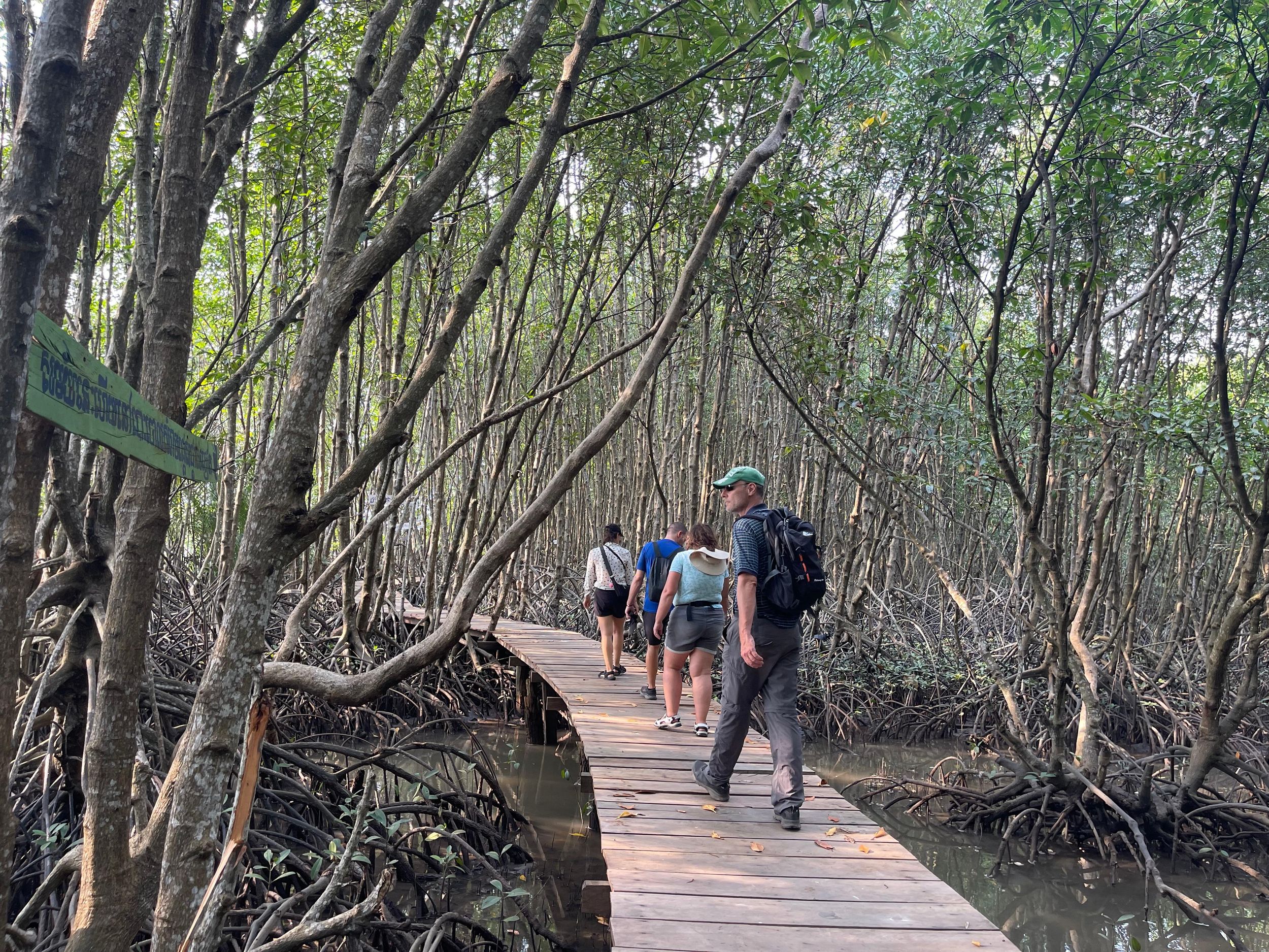 Kampot: Trapeang-Sangkae-Mangroven-Tour & See, Pfefferfarmen