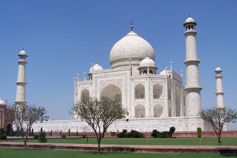 From Delhi: Golden Triangle Tour with Agra, Jaipur & Safari 3-Day Golden Triangle Tour with Taj Mahal, Jaipur & Safari
