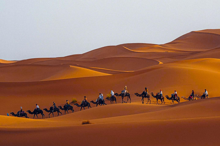 Fes: 3-Day Desert Tour to Agadir via Merzouga Desert Shared Standard Tour