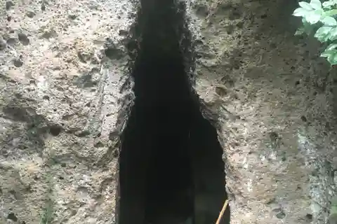 Poggio Buco: the missing necropolis