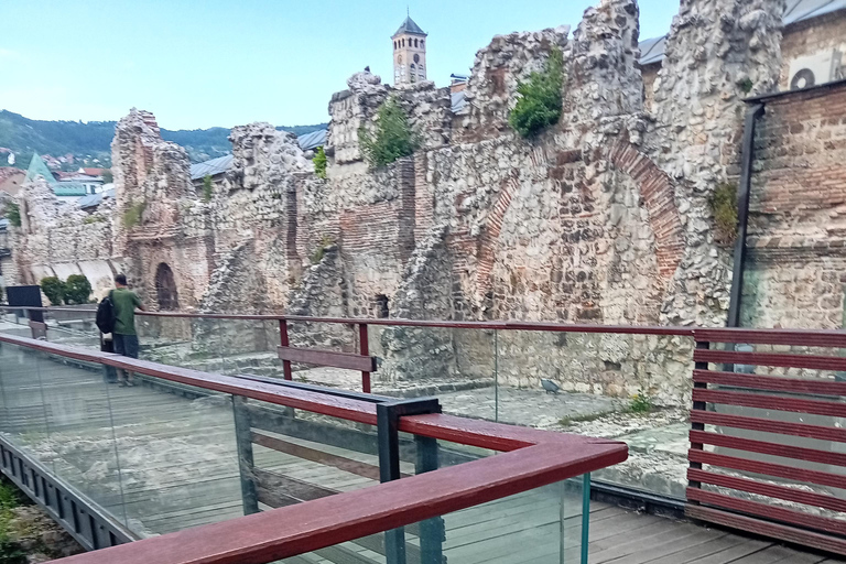 Sarajevo Street Cats Tour