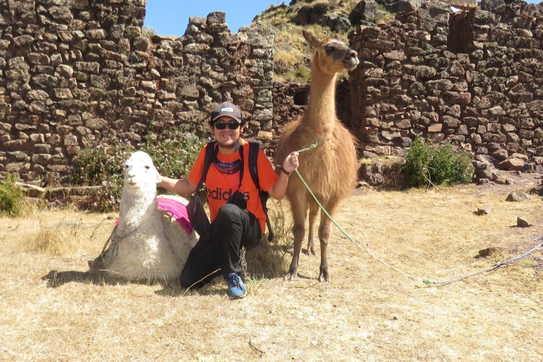 Desde Cusco: Excursión a Chinchero/Maras/Moray+Picnic con Llamas