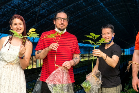 Paju Day tour: DMZ Peace Gondola & Ginseng Farm Experience Dongdaemun Designer Hotel
