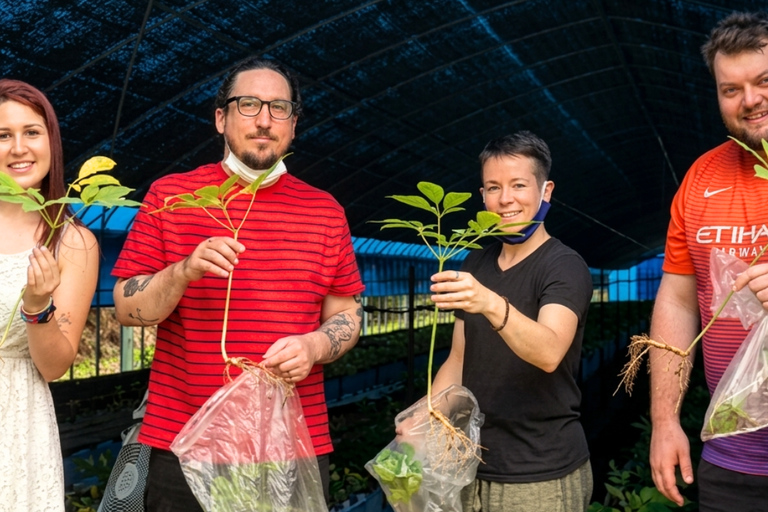 Paju Day tour: DMZ Peace Gondola & Ginseng Farm Experience Dongdaemun Designer Hotel