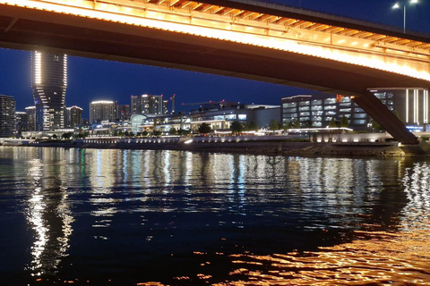 Cruise in Belgrade: Sava and Danube River Cruise with Views