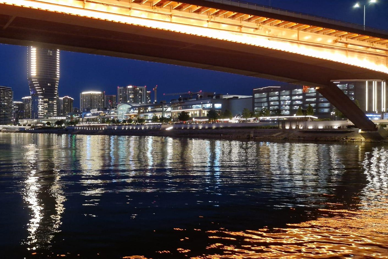Cruise in Belgrade: Sava and Danube River Cruise with Views