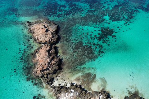 Private Snorkeling Tour - Ad Dimaniyat Islands