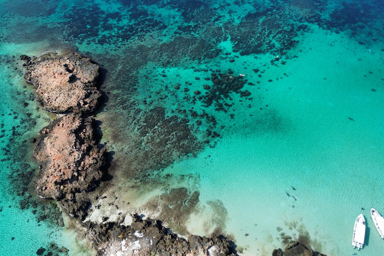 Private Snorkeling Tour - Ad Dimaniyat Islands