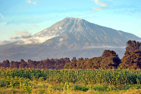 Tanzania: Safari del Nord in Tanzania di 6 giorni