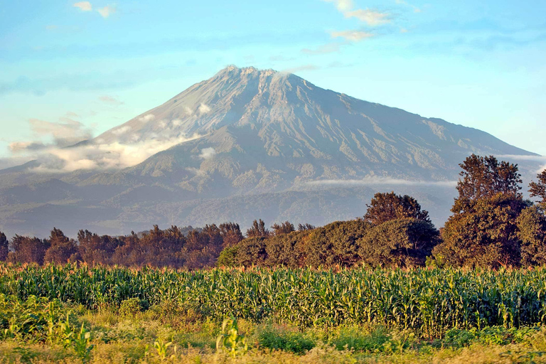 Tanzania: Safari del Nord in Tanzania di 6 giorni