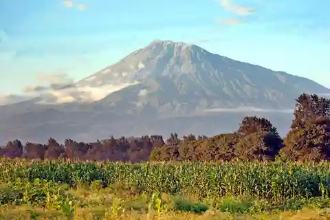 Tanzania: Safari de 6 días por el norte de Tanzania