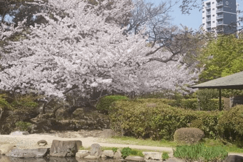 Tour privato di Tokyo personalizzato della città con autista che parla inglese