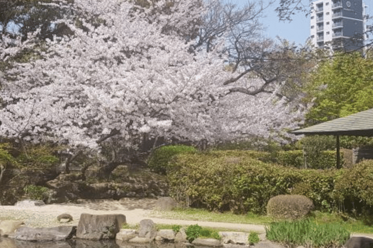 Tour privado de la ciudad de Tokio personalizado con conductor de habla inglesa