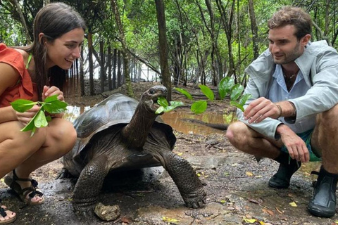 Zanzibar: Fängelseön, Stone Town och Jozani nationalparkPrivat tur med transfer, hämtning men inträdesavgift ingår inte