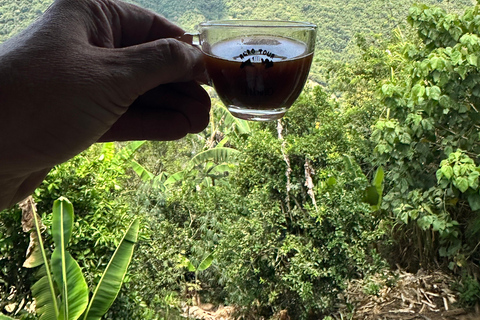 Coffee and Exotic Fruit Tour from Medellín with Lunch Coffee and Exotic Fruit Tour from Medellín with Lunch.