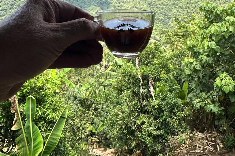 Coffee and Exotic Fruit Tour from Medellín with Lunch Coffee and Exotic Fruit Tour from Medellín with Lunch.